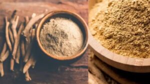 Should you take Ashwagandha every day? अश्वगंधा रोज़ लेना चाहिए या नहीं? इसके फायदे और नुकसान जानें
